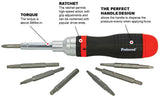 19-In-1 Ratcheting Screwdriver & Bit Set